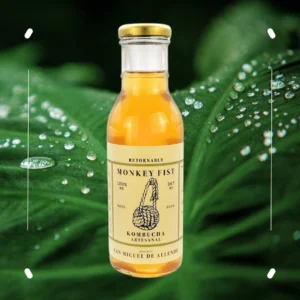 Kombucha Sabor Natural - 4.5 Litros